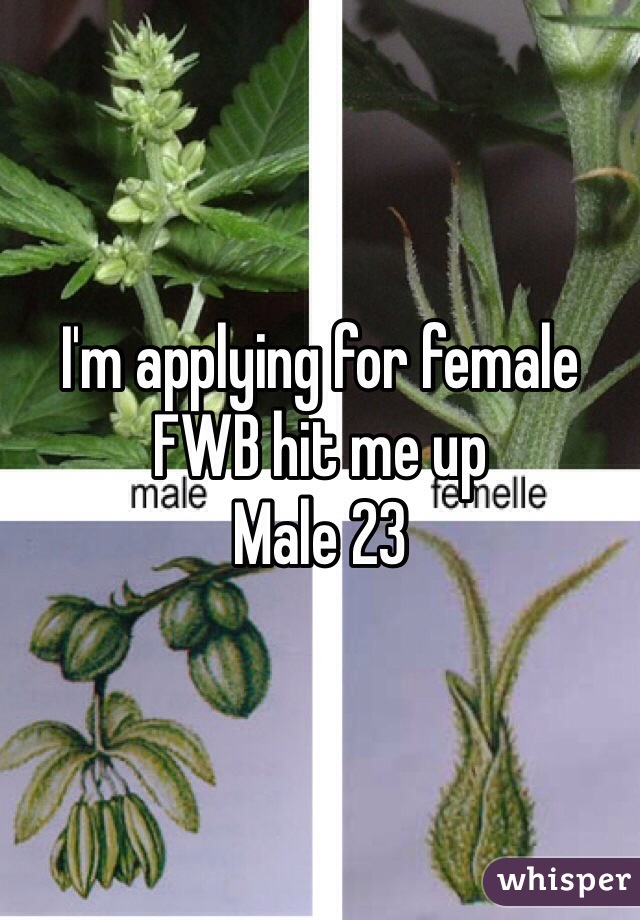 I'm applying for female FWB hit me up 
Male 23 