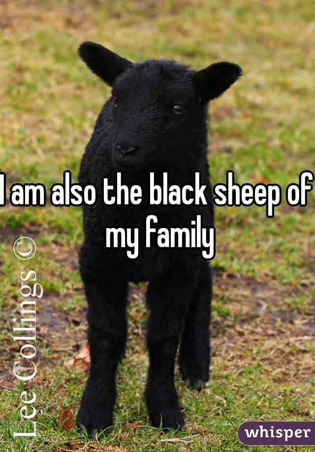 I am also the black sheep of my family