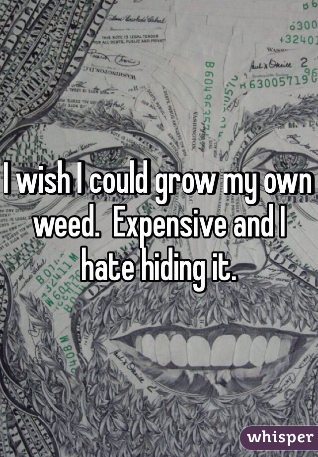 I wish I could grow my own weed.  Expensive and I hate hiding it.