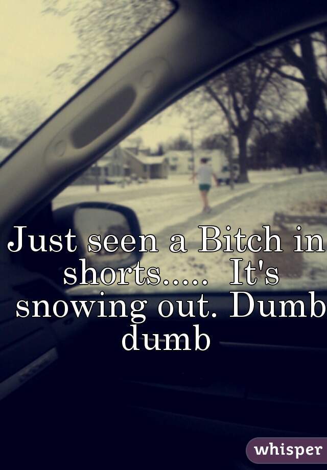 Just seen a Bitch in shorts.....  It's snowing out. Dumb dumb 