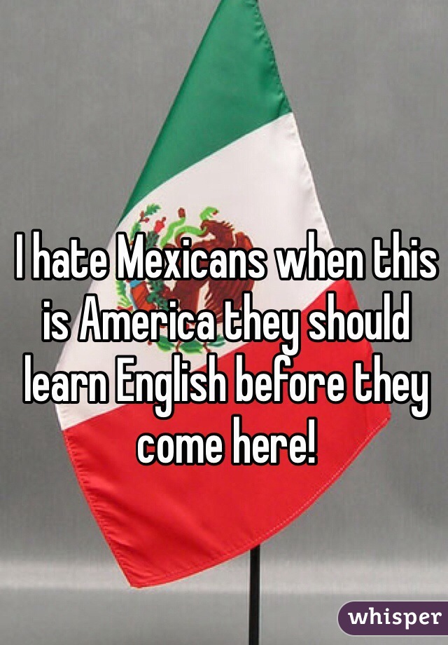 I hate Mexicans when this is America they should learn English before they come here!