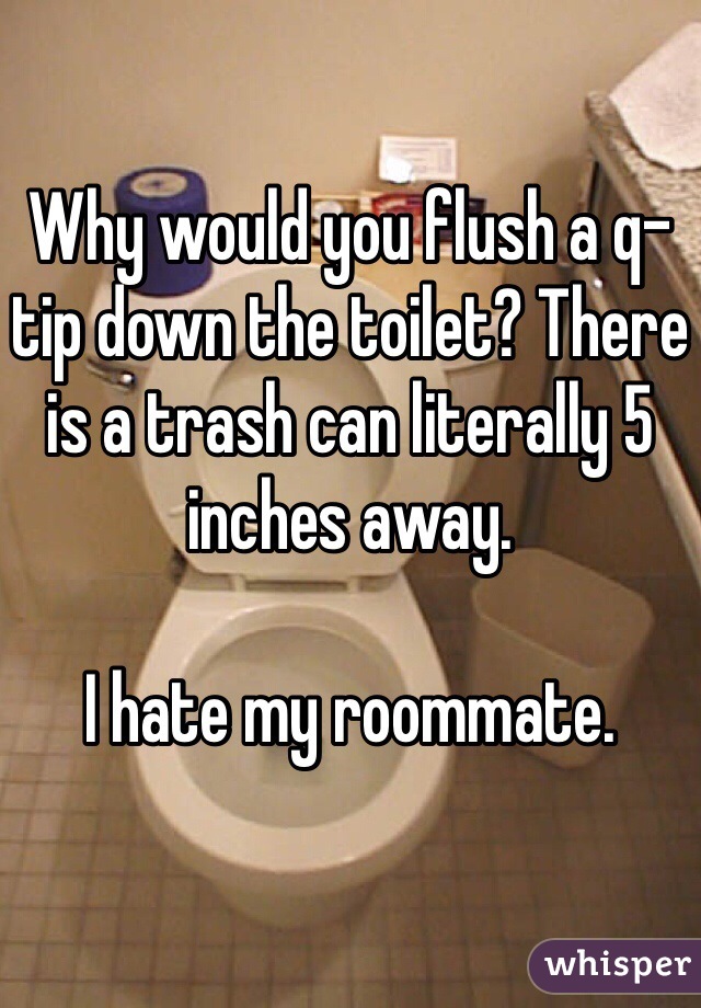 Why would you flush a q-tip down the toilet? There is a trash can literally 5 inches away. 

I hate my roommate. 