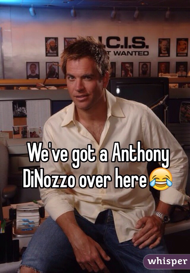 We've got a Anthony DiNozzo over here😂