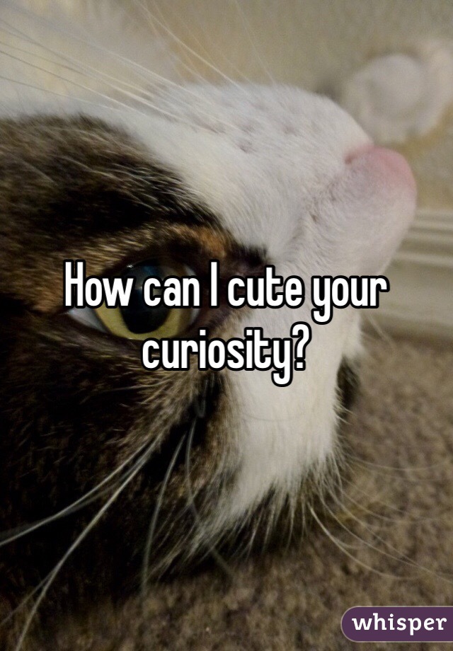 How can I cute your curiosity?