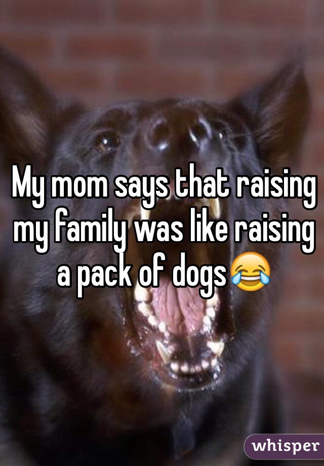 My mom says that raising my family was like raising a pack of dogs😂