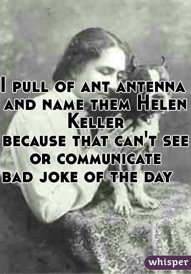 I pull of ant antenna 
and name them Helen Keller 
because that can't see or communicate 
bad joke of the day   