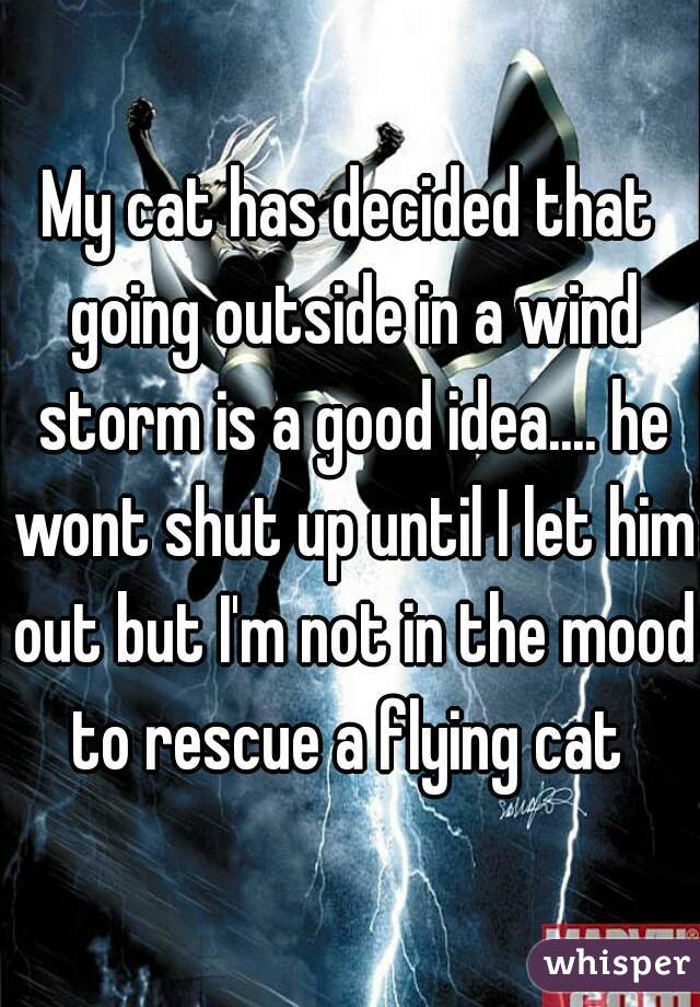 My cat has decided that going outside in a wind storm is a good idea.... he wont shut up until I let him out but I'm not in the mood to rescue a flying cat 