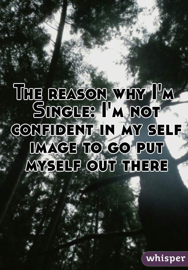 The reason why I'm Single: I'm not confident in my self image to go put myself out there