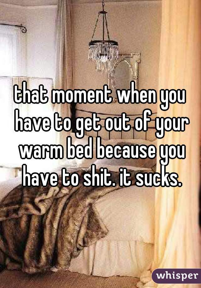 that moment when you have to get out of your warm bed because you have to shit. it sucks.