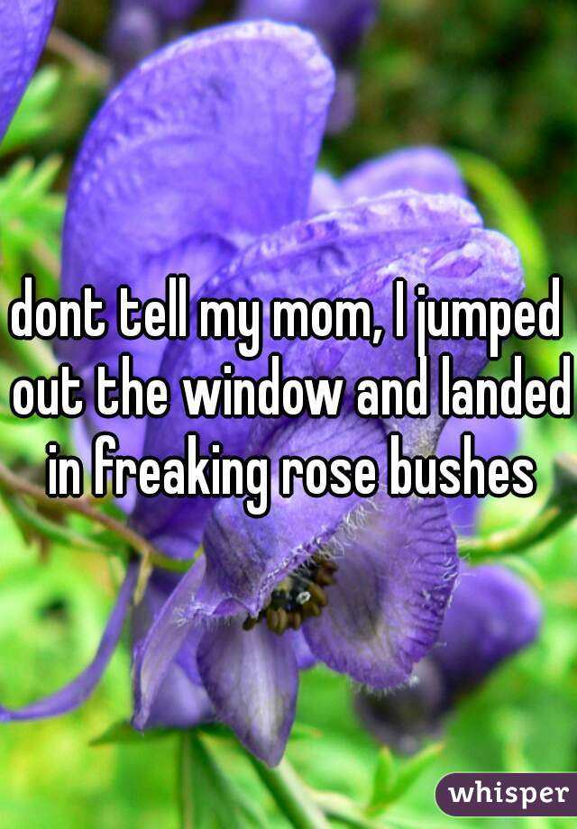 dont tell my mom, I jumped out the window and landed in freaking rose bushes