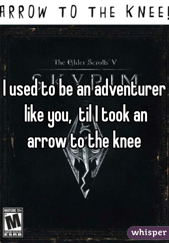 I used to be an adventurer like you,  til I took an arrow to the knee 