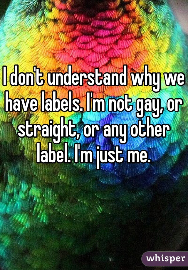 I don't understand why we have labels. I'm not gay, or straight, or any other label. I'm just me. 