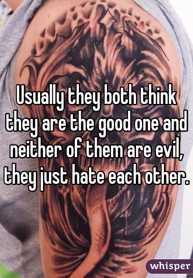 Usually they both think they are the good one and neither of them are evil, they just hate each other. 