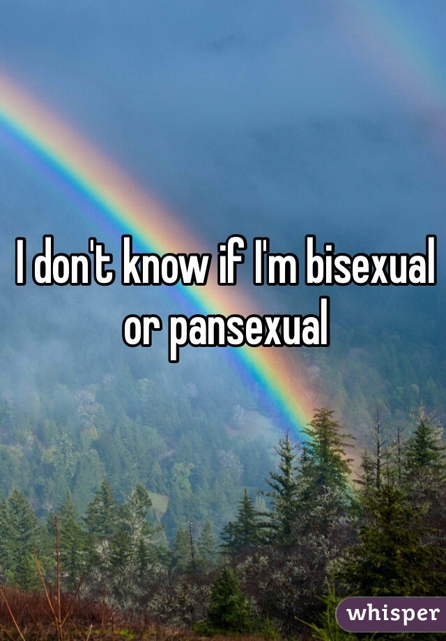 I don't know if I'm bisexual or pansexual 