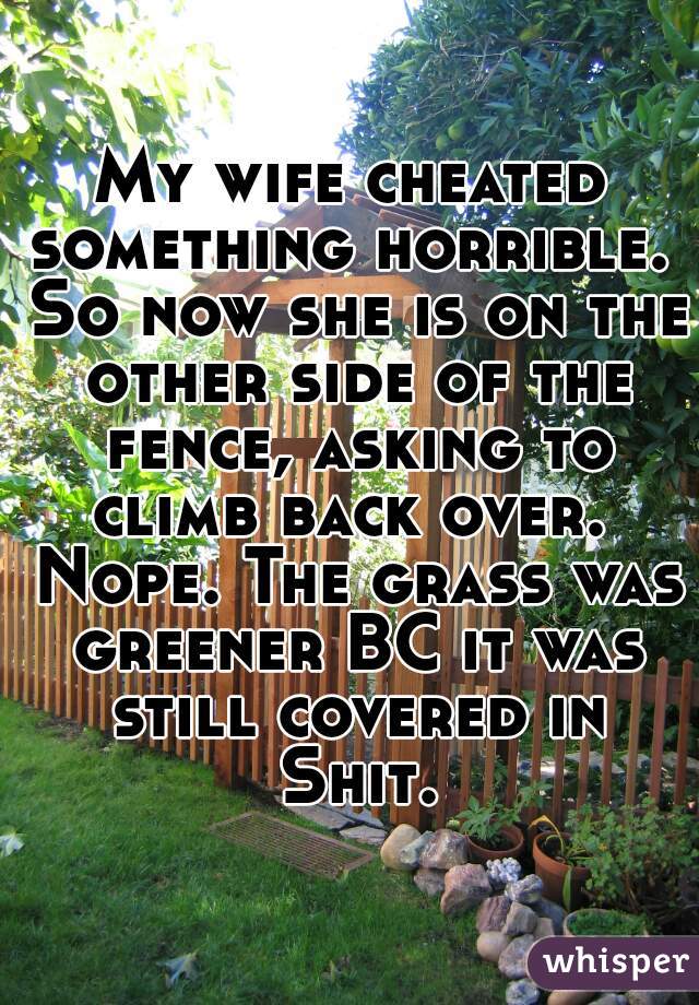 My wife cheated something horrible.  So now she is on the other side of the fence, asking to climb back over.  Nope. The grass was greener BC it was still covered in Shit.