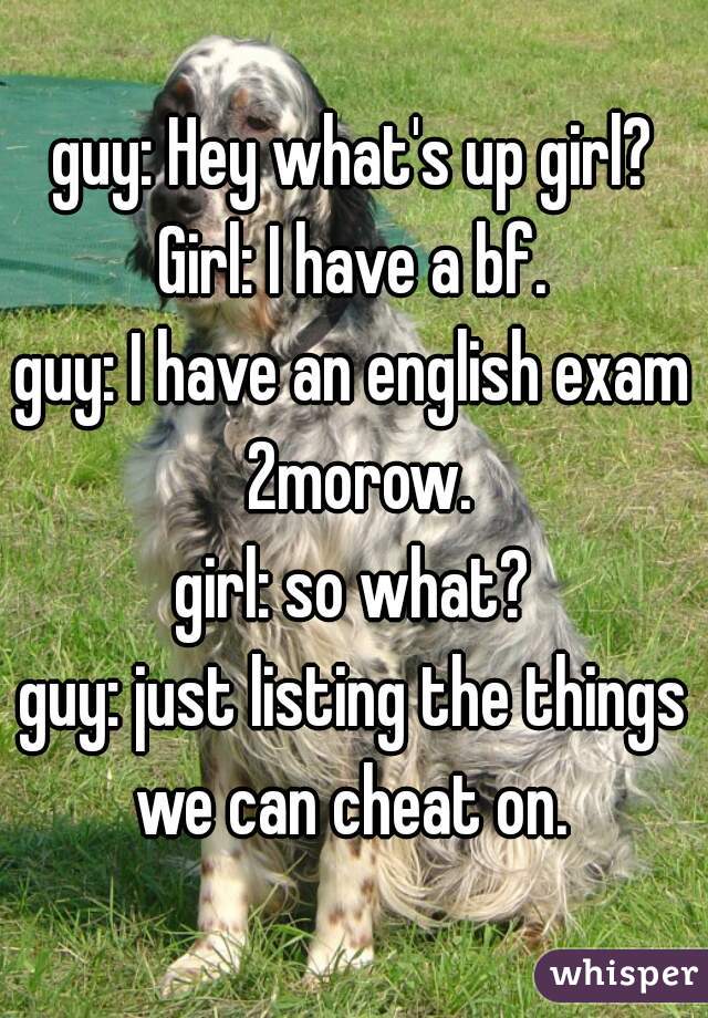 guy: Hey what's up girl?
Girl: I have a bf.
guy: I have an english exam 2morow.
girl: so what?
guy: just listing the things we can cheat on. 