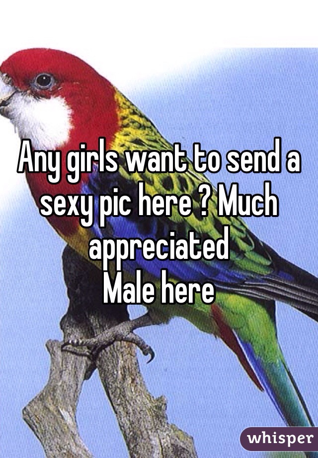 Any girls want to send a sexy pic here ? Much appreciated 
Male here 