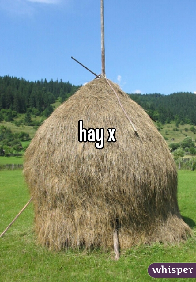 hay x