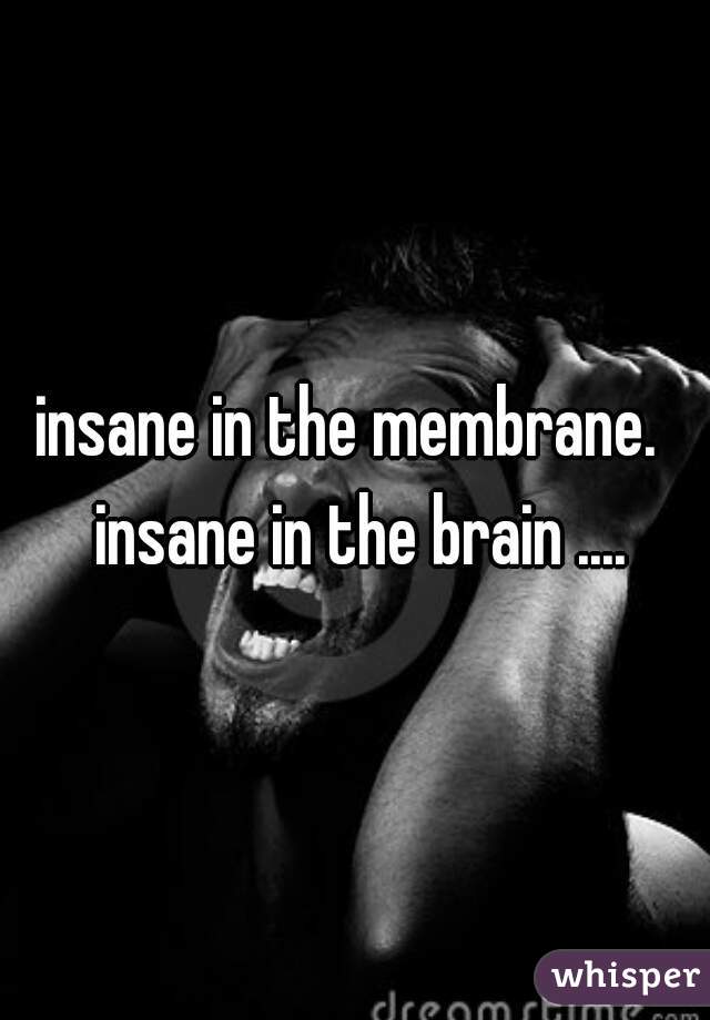 insane in the membrane.  insane in the brain ....