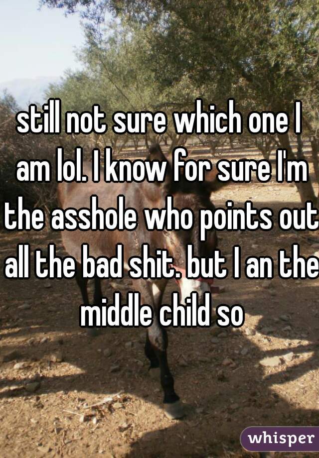 still not sure which one I am lol. I know for sure I'm the asshole who points out all the bad shit. but I an the middle child so