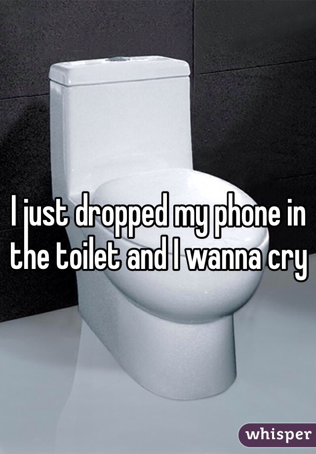 I just dropped my phone in the toilet and I wanna cry
