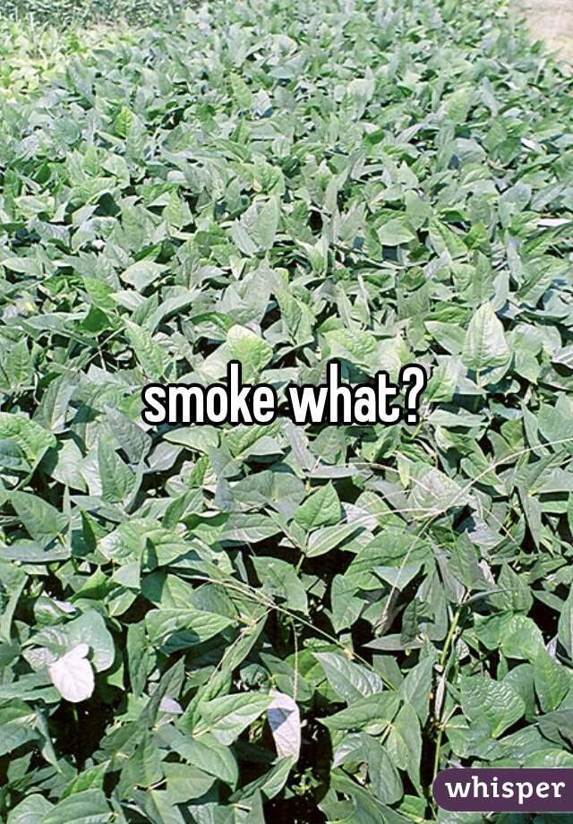 smoke what?