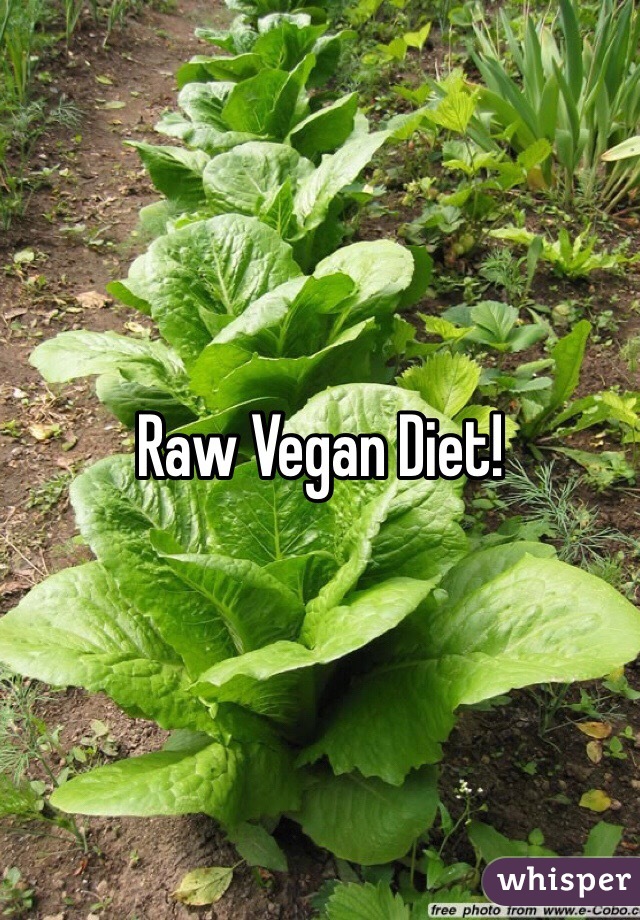 Raw Vegan Diet!