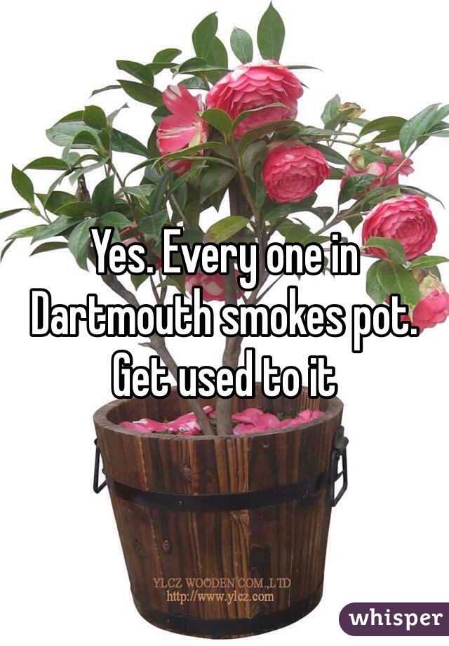 Yes. Every one in Dartmouth smokes pot. Get used to it