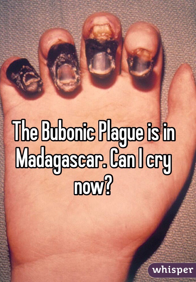 The Bubonic Plague is in Madagascar. Can I cry now?