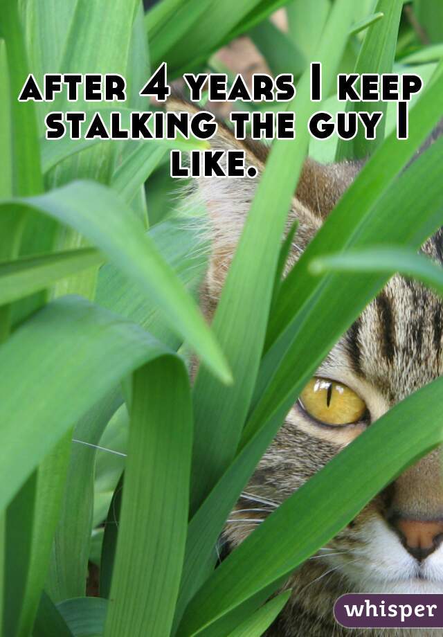 after 4 years I keep stalking the guy I like.  