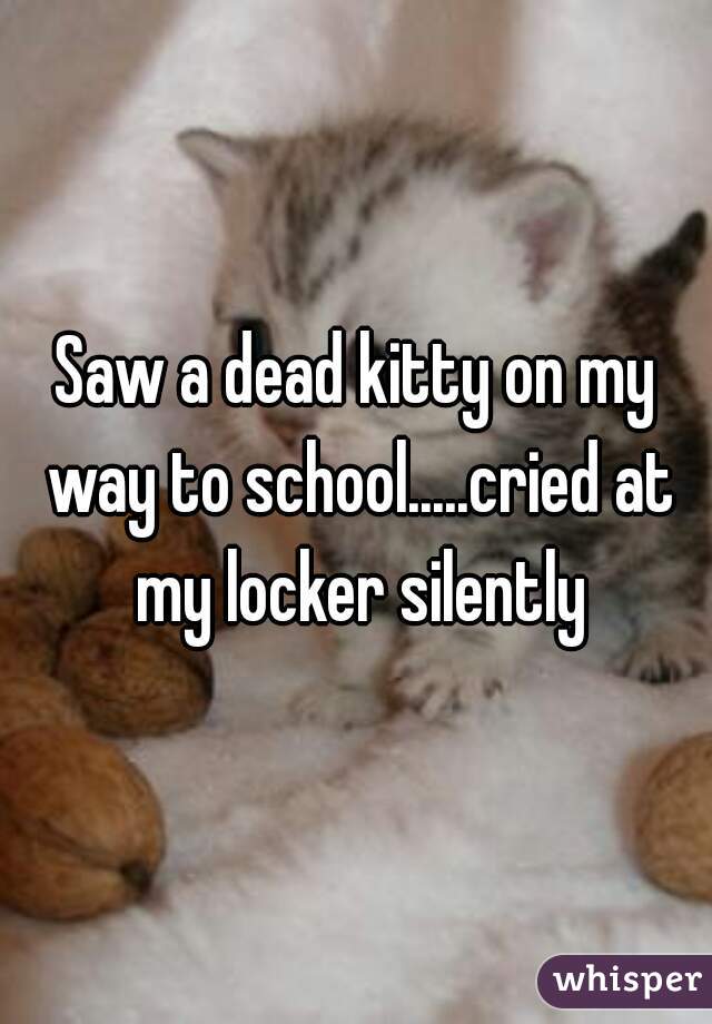 Saw a dead kitty on my way to school.....cried at my locker silently