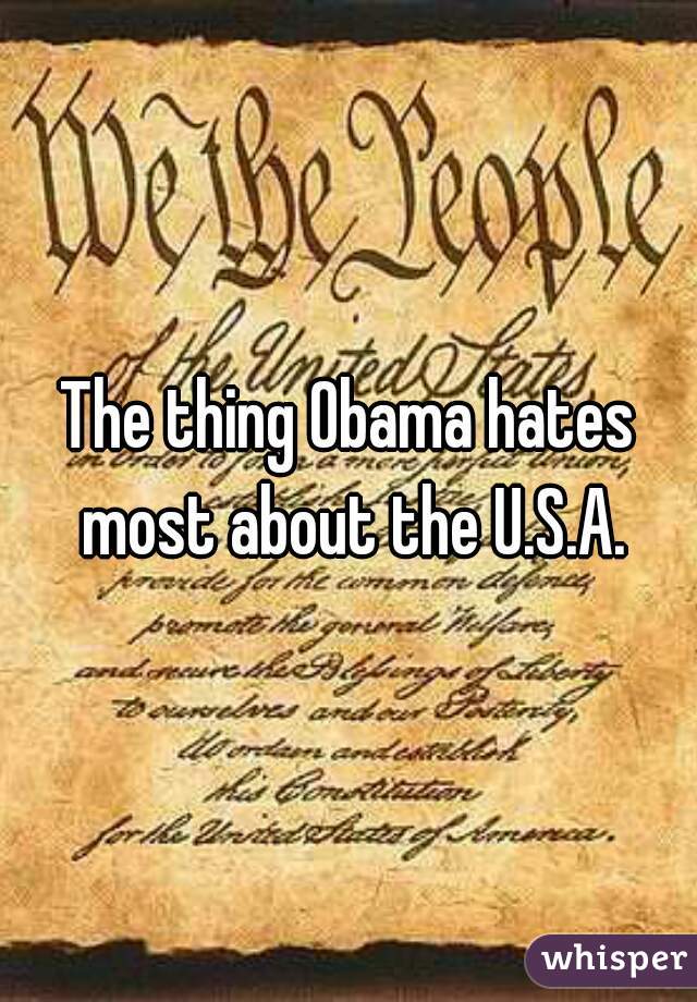 The thing Obama hates most about the U.S.A.