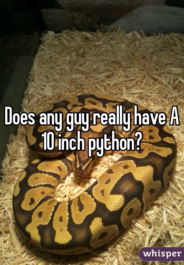 Does any guy really have A 10 inch python?