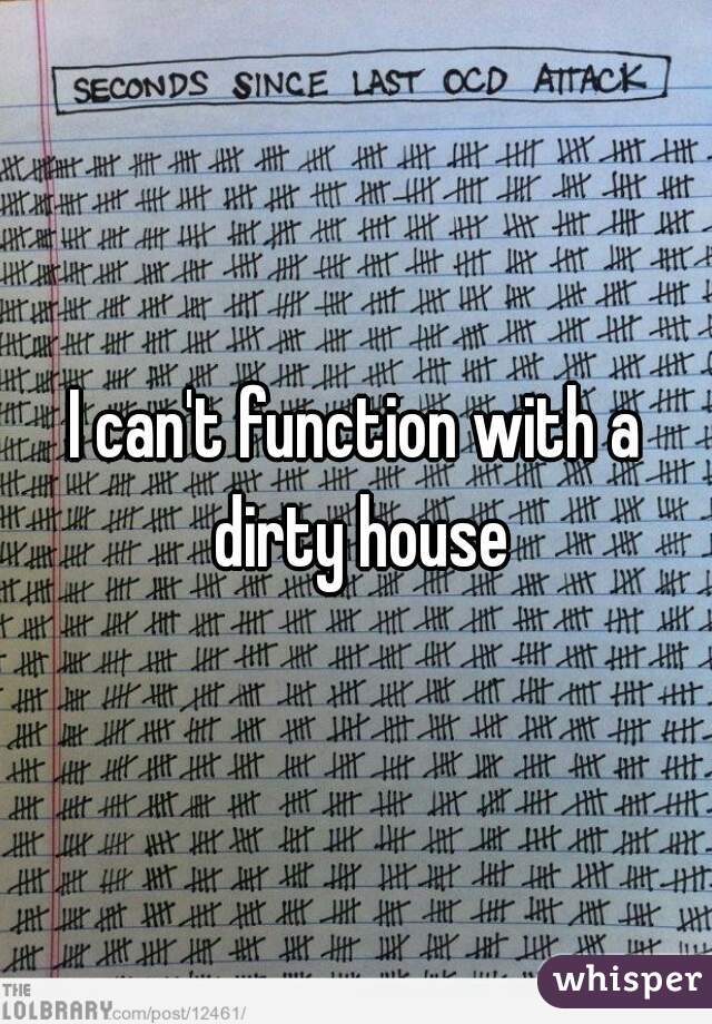 I can't function with a dirty house