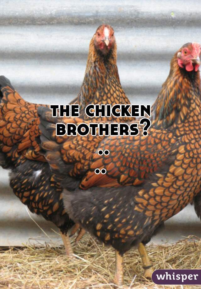 the chicken brothers? ....