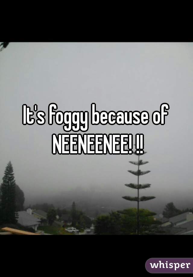 It's foggy because of NEENEENEE! !!