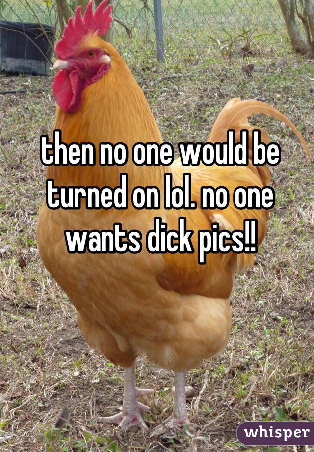 then no one would be turned on lol. no one wants dick pics!!