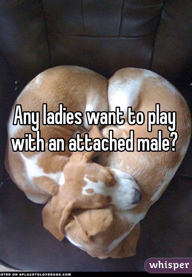 Any ladies want to play with an attached male? 