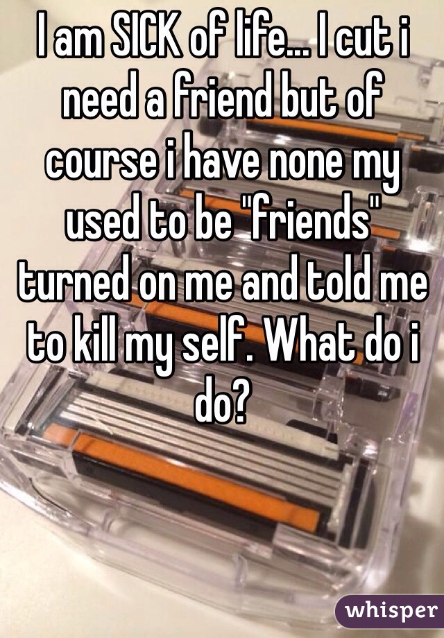 I am SICK of life... I cut i need a friend but of course i have none my used to be "friends" turned on me and told me to kill my self. What do i do?