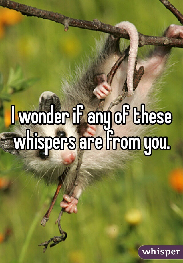 I wonder if any of these whispers are from you. 