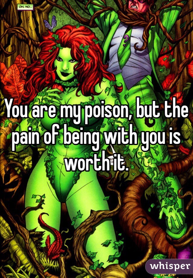 You are my poison, but the pain of being with you is worth it. 