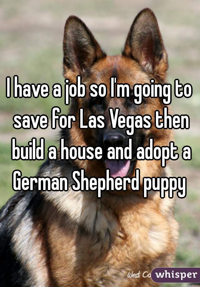 I have a job so I'm going to save for Las Vegas then build a house and adopt a German Shepherd puppy 