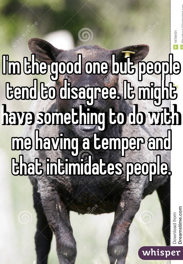 I'm the good one but people tend to disagree. It might have something to do with me having a temper and that intimidates people. 