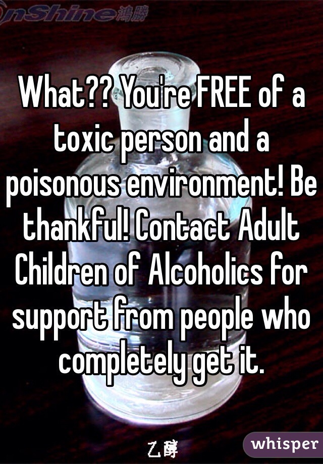 What?? You're FREE of a toxic person and a poisonous environment! Be thankful! Contact Adult Children of Alcoholics for support from people who completely get it.