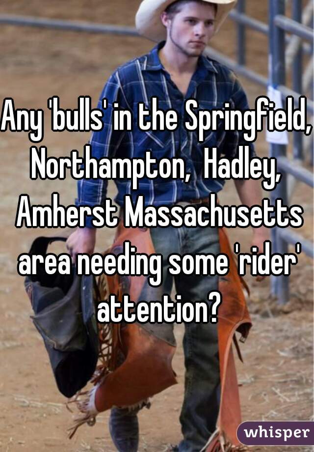 Any 'bulls' in the Springfield, Northampton,  Hadley,  Amherst Massachusetts area needing some 'rider' attention?