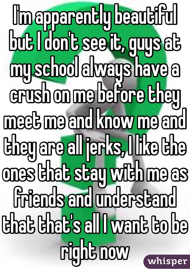 I'm apparently beautiful but I don't see it, guys at my school always have a crush on me before they meet me and know me and they are all jerks, I like the ones that stay with me as friends and understand that that's all I want to be right now 