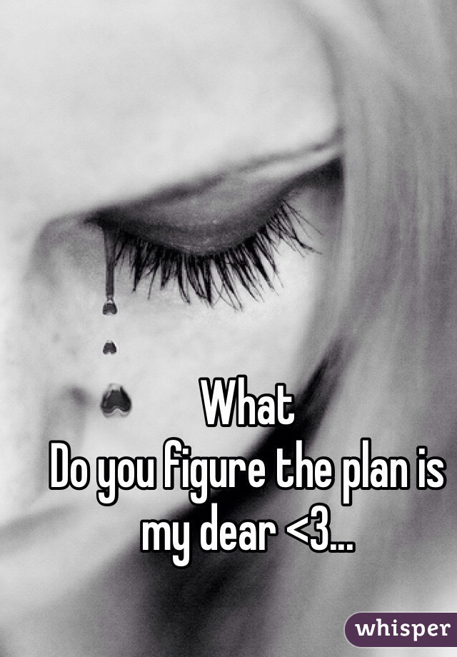 What
Do you figure the plan is my dear <3...