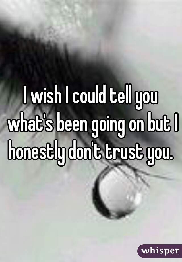 I wish I could tell you what's been going on but I honestly don't trust you. 
