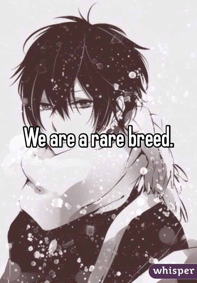 We are a rare breed.