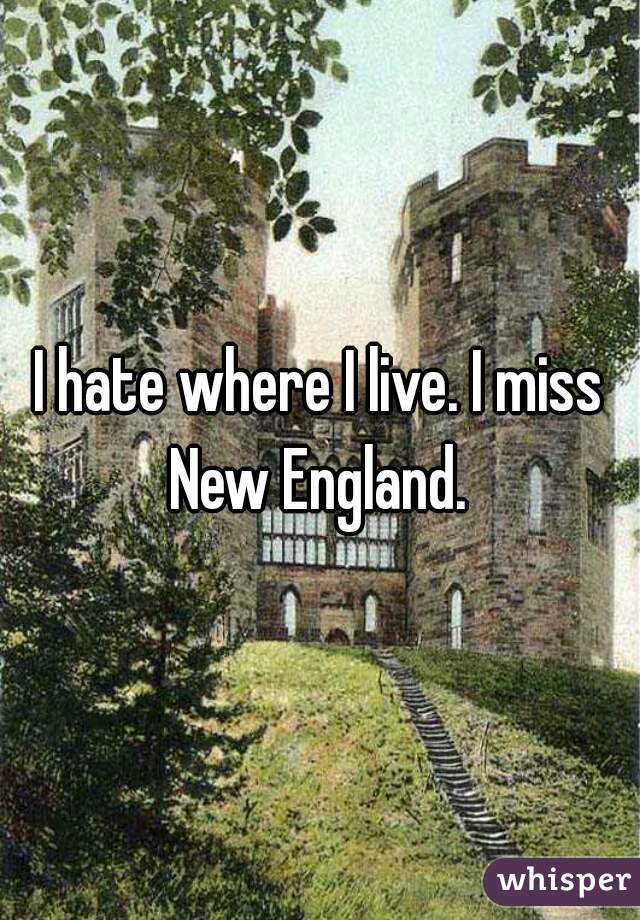 I hate where I live. I miss New England. 